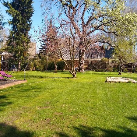Bleichehof Villa Burg  Kültér fotó