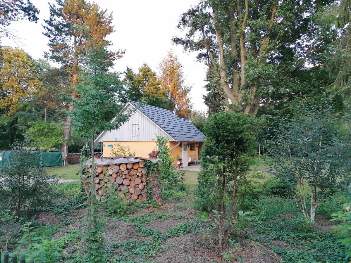 Bleichehof Villa Burg  Kültér fotó